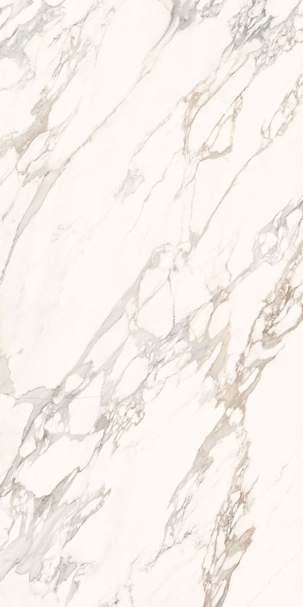 Premium Calacatta Paonazzo | Porcelain Slabs